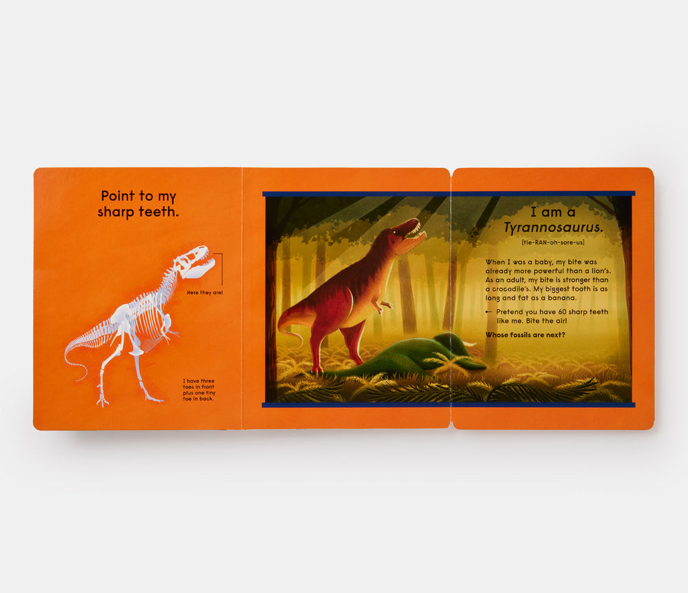 Who's That Dinosaur?: An Animal Guessing Game