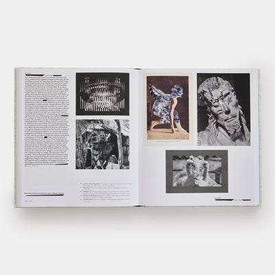 Vitamin C+: Collage in Contemporary Art