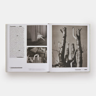 Vitamin C+: Collage in Contemporary Art