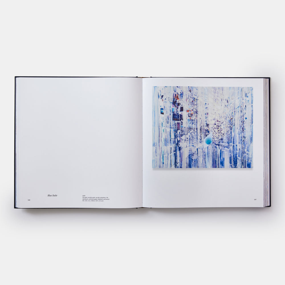 Sarah Sze: Paintings