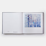 Sarah Sze: Paintings