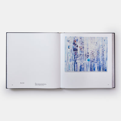 Sarah Sze: Paintings