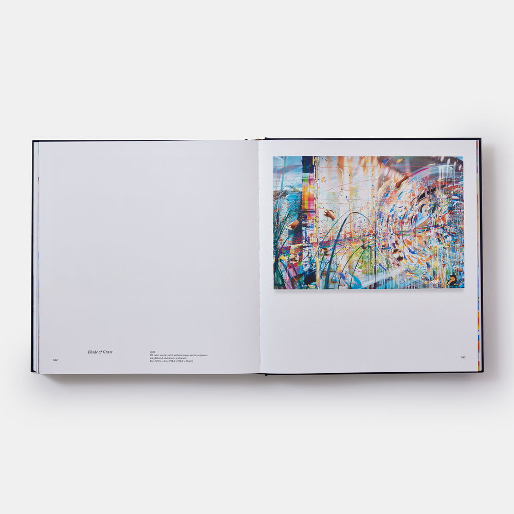 Sarah Sze: Paintings