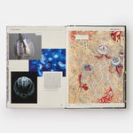 Patterns: Inside the Design Library