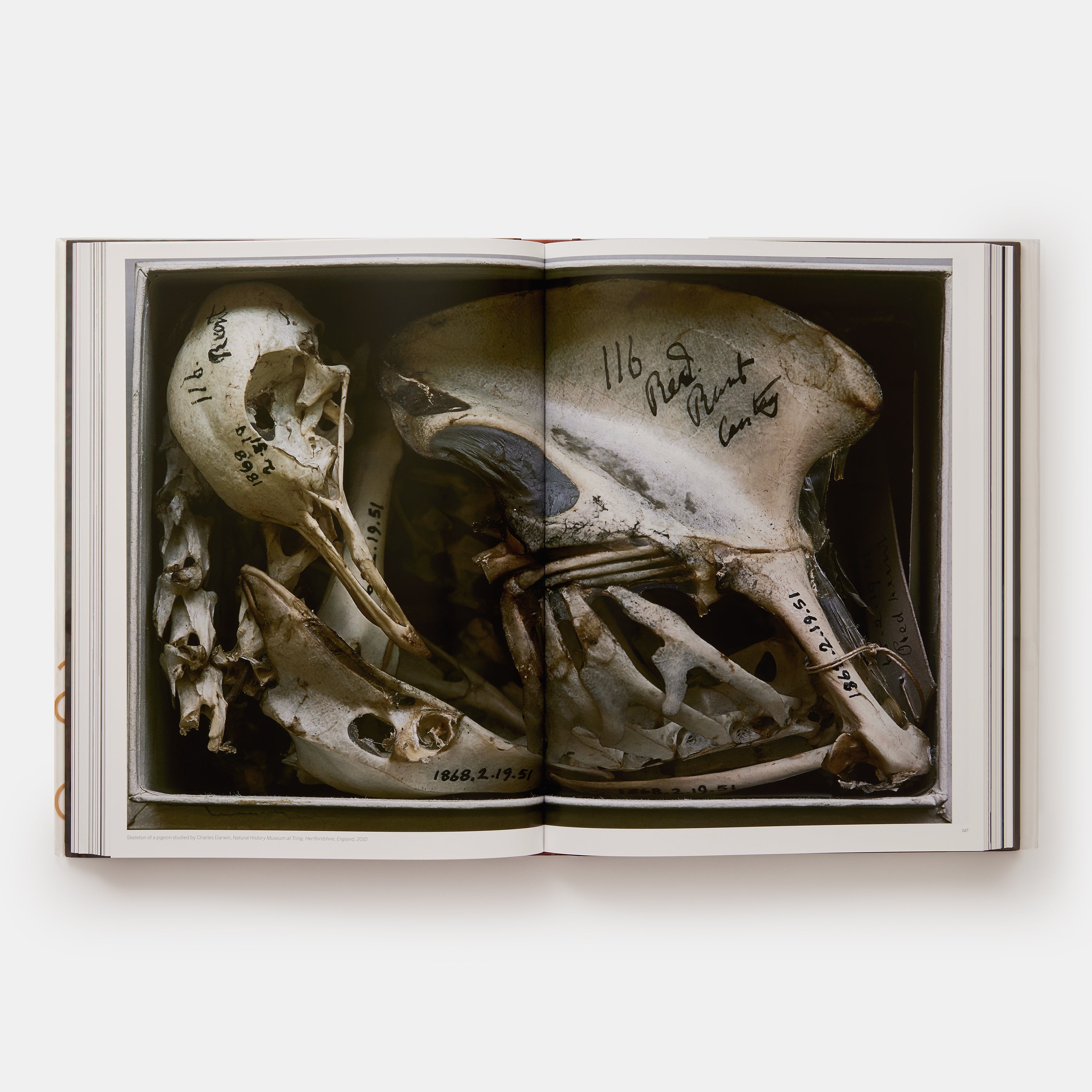 Fabien Baron: Works 1983-2019 | Standard Edition | 9780714879932