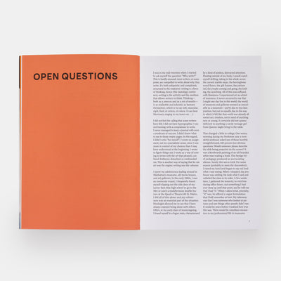 Open Questions: Thirty Years of Writing about Art