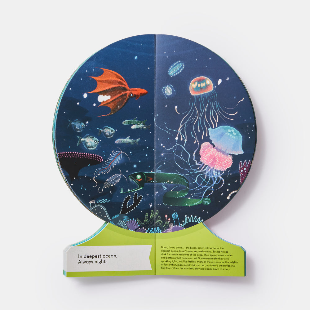 Our Underwater World: A First Dive into Oceans, Lakes, and Rivers