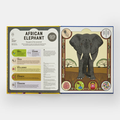 Superpowered Animals: Meet the World's Strongest, Smartest, and Swiftest Creatures