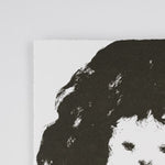 Little Vera (2022)