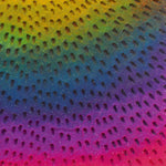 Rainbow Orb 2 (2023)