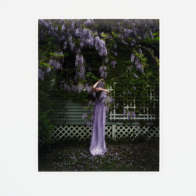 Wisteria (2025)