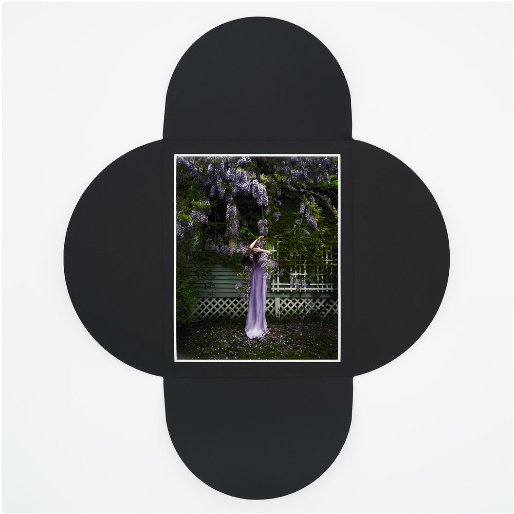 Wisteria (2025)