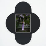 Wisteria (2025)