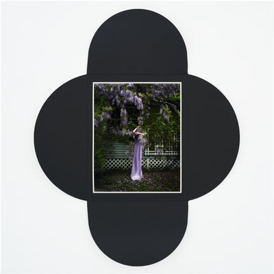Wisteria (2025)