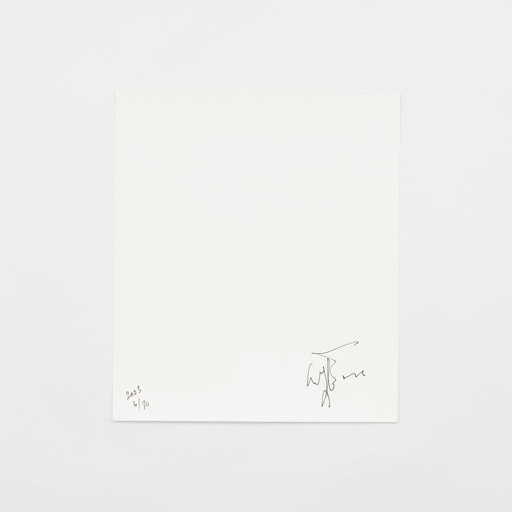 Untitled (2023)