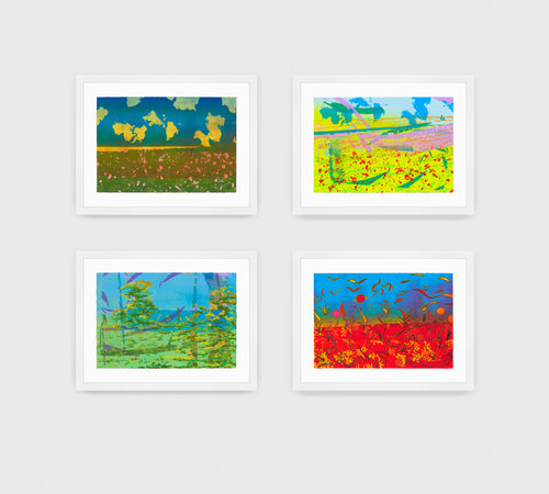 Full Suite: Dormancy, Rebirth, Growth, and Harvest