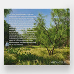 Envisioning Landscapes: The Transformative Environments of OJB