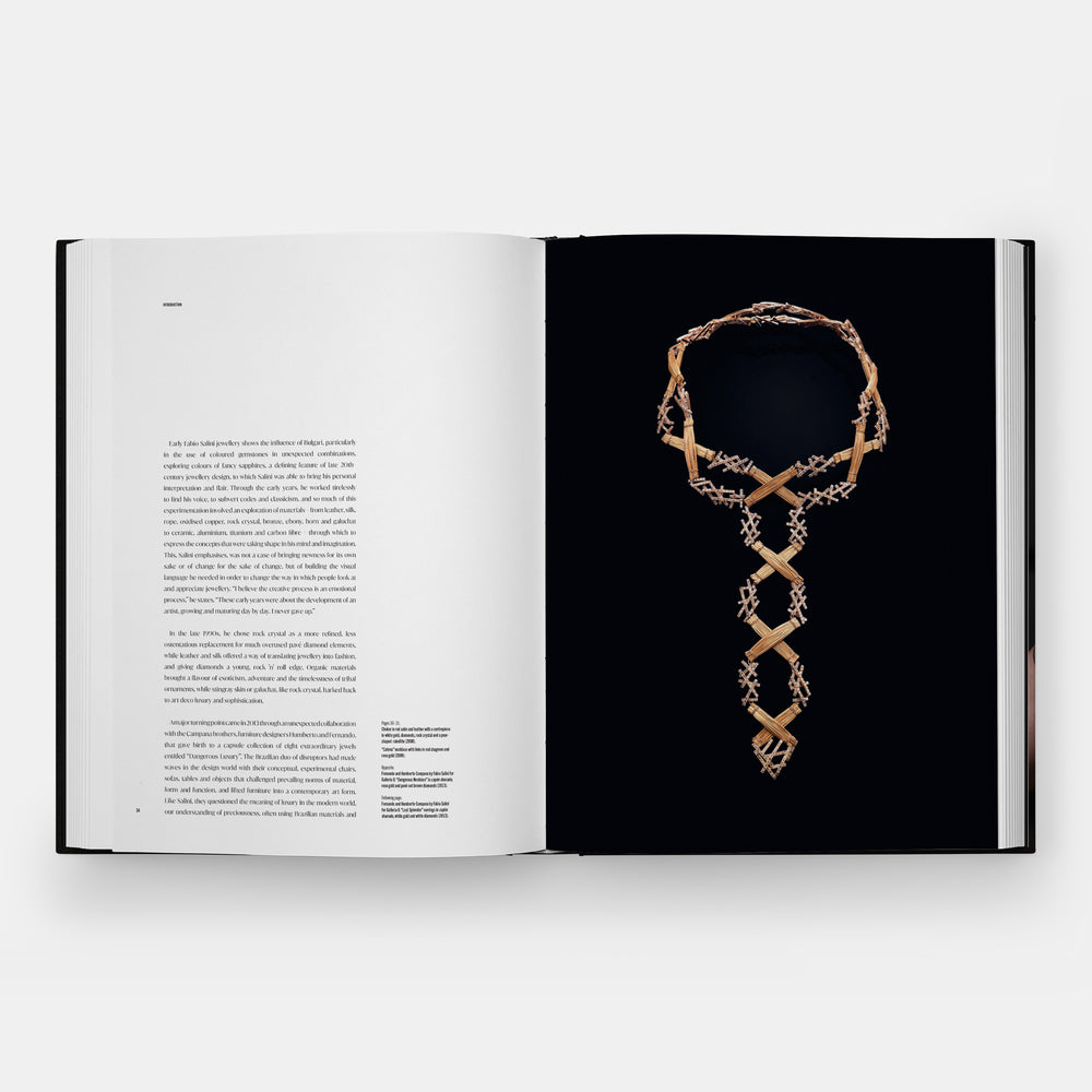 Fabio Salini: Rebel Jeweller