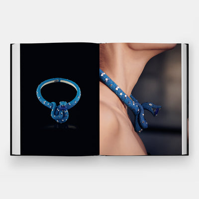 Fabio Salini: Rebel Jeweller