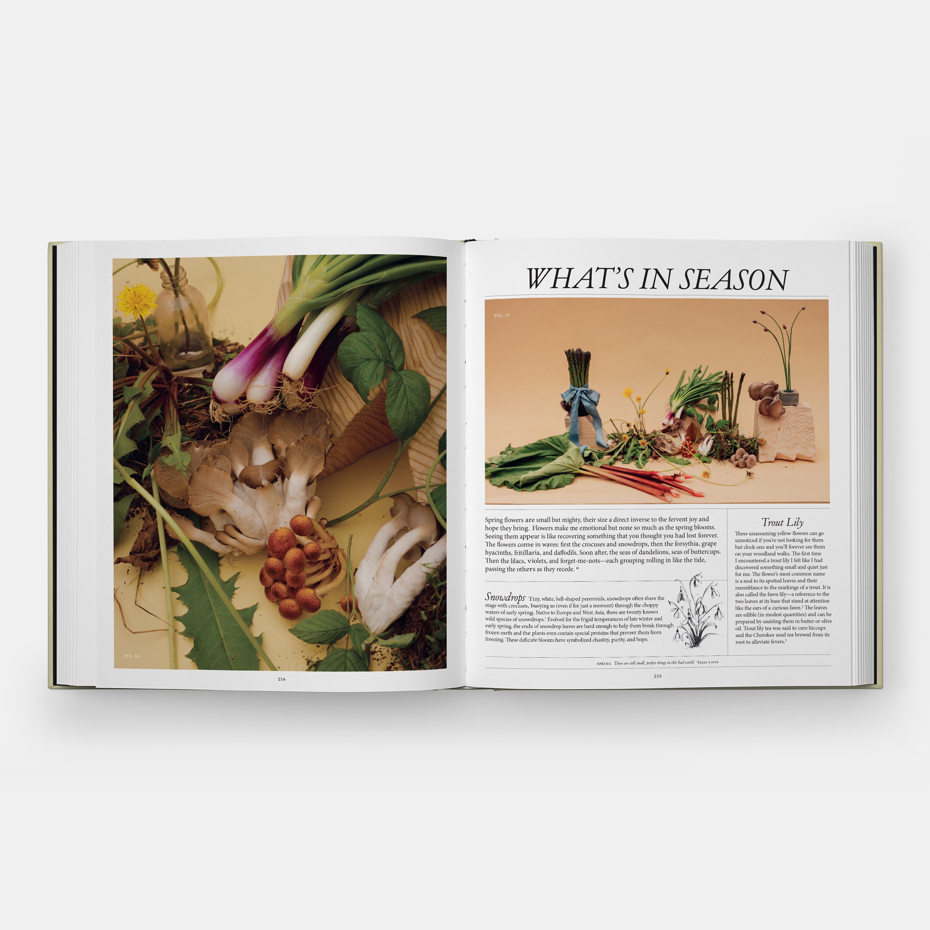 Aino + Alvar Aalto: A Life Together | Standard Edition
