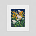 Goldenrod and Queen Anne's Lace (2025)