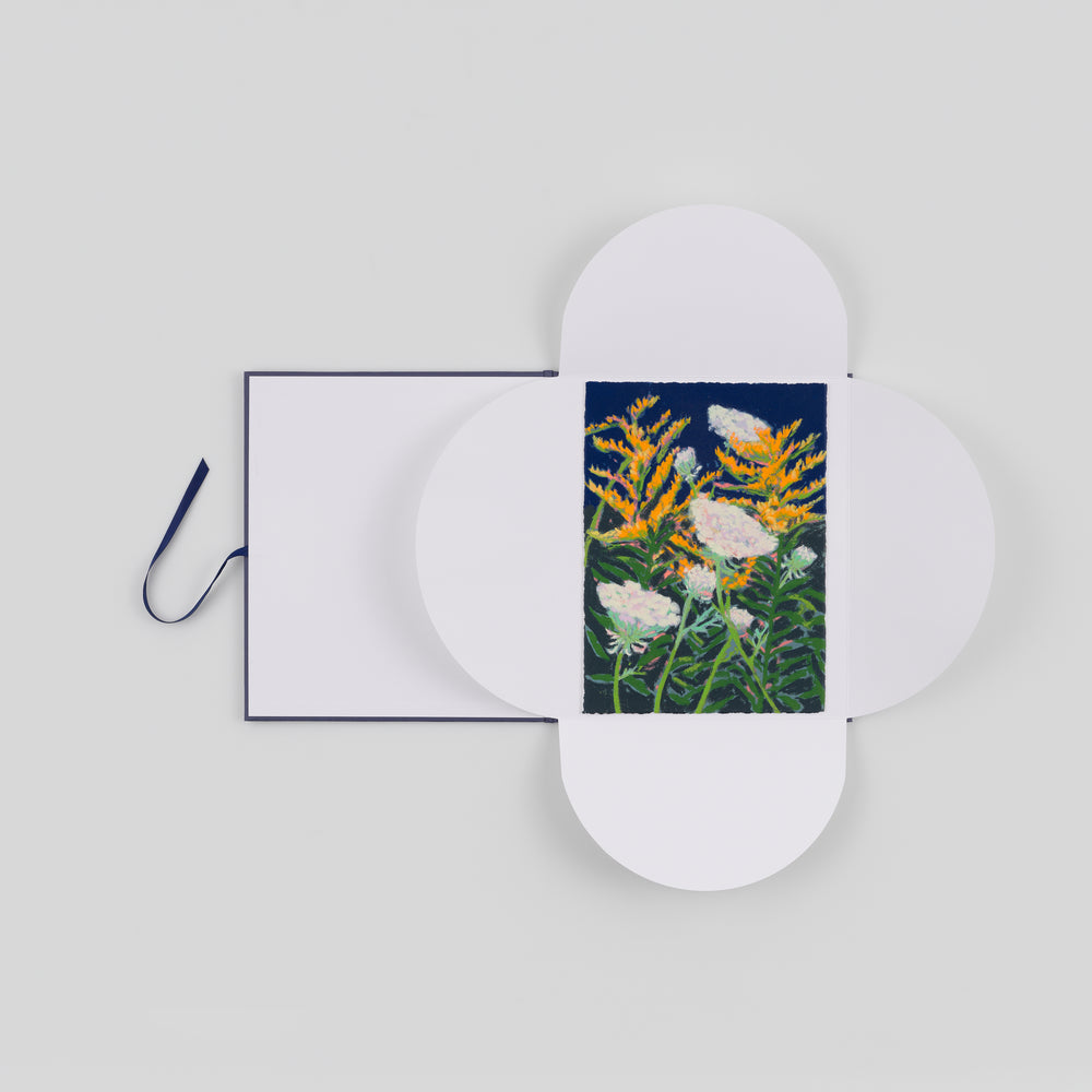 Goldenrod and Queen Anne's Lace (2025)