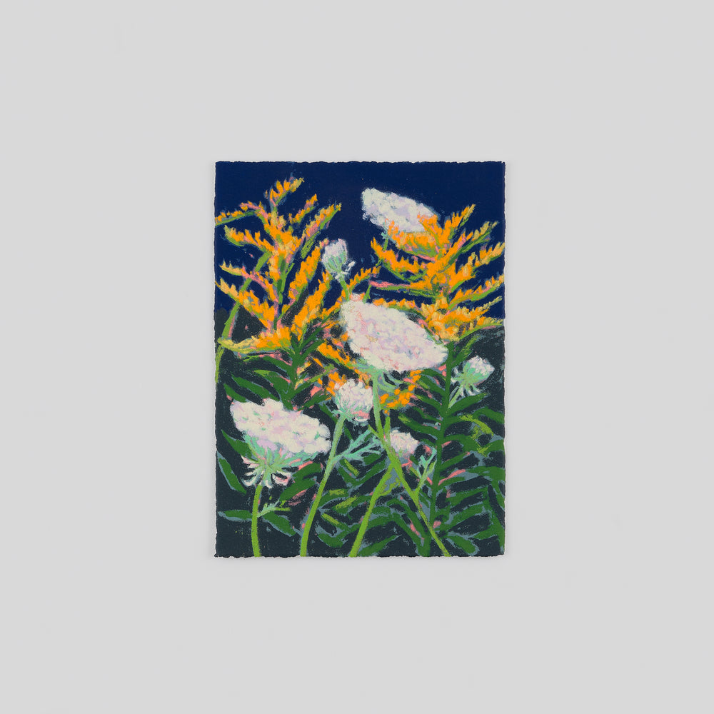 Goldenrod and Queen Anne's Lace (2025)