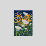 Goldenrod and Queen Anne's Lace (2025)