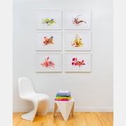 Flower Color Theory (2021) Set of 6