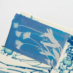 DRFTRS (Daisy Ghost)