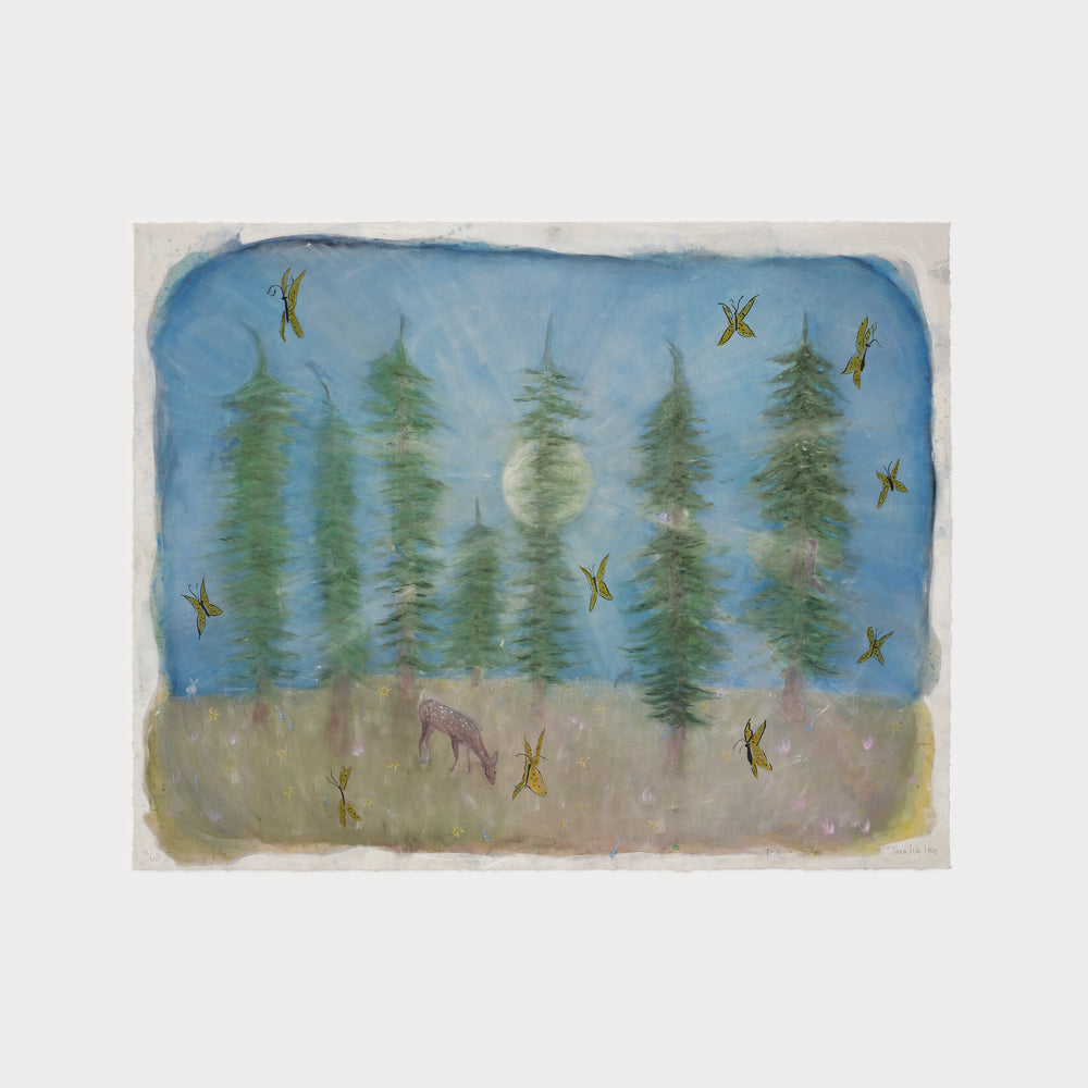 The Cathedrals of Central Park: Butterfly Ballet