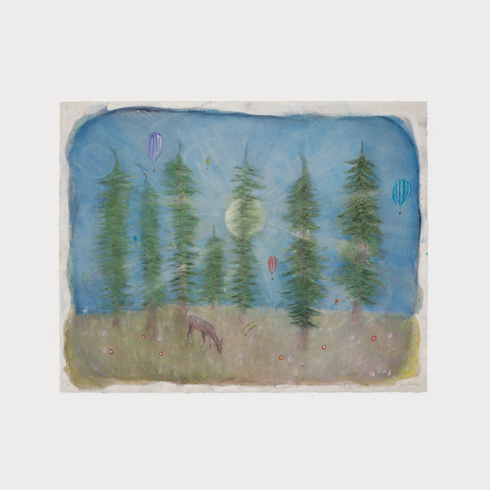 The Cathedrals of Central Park: Hot air Balloons