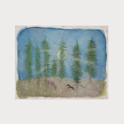 The Cathedrals of Central Park: Cessna