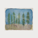 The Cathedrals of Central Park: Cathedrals of New York