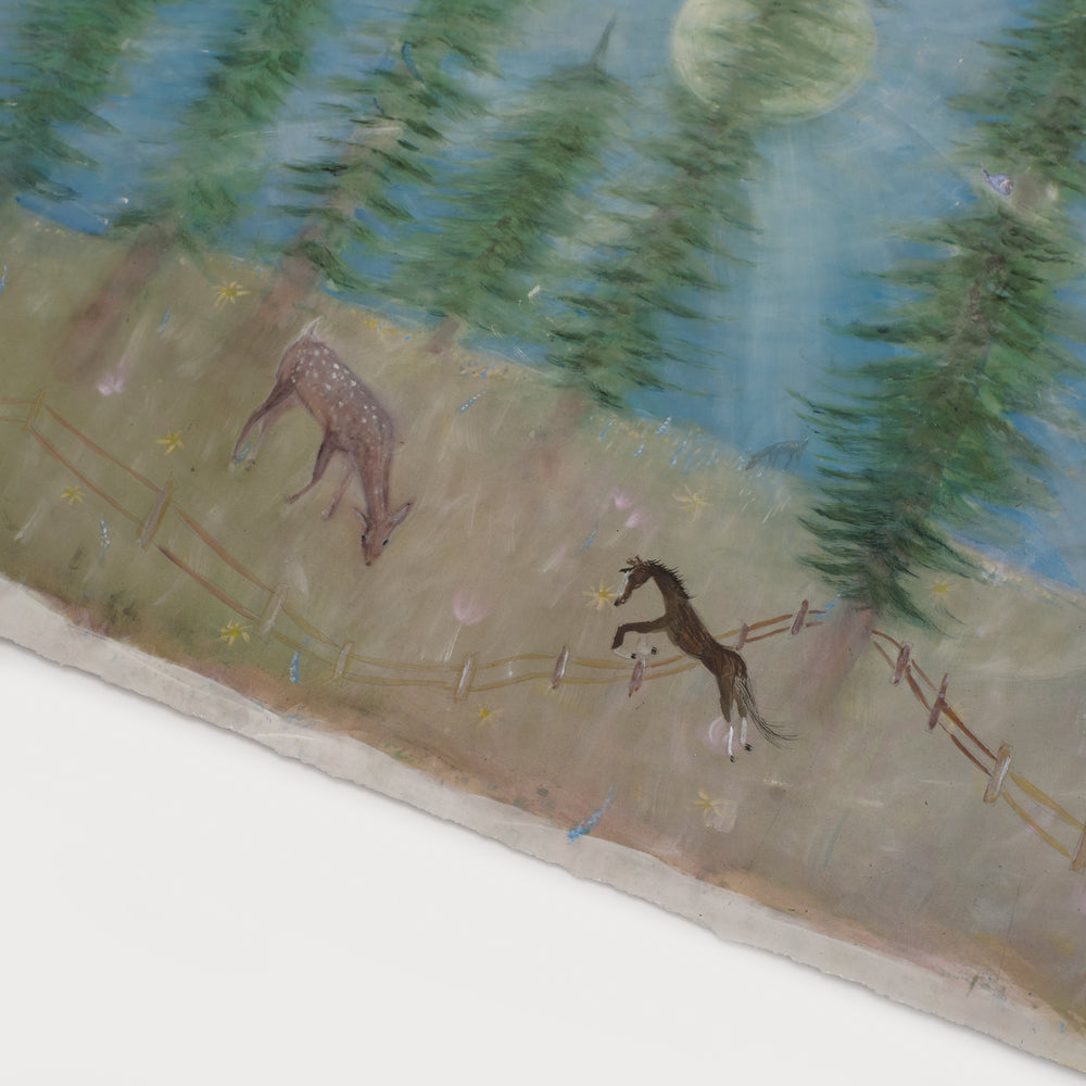 The Cathedrals of Central Park: Cessna