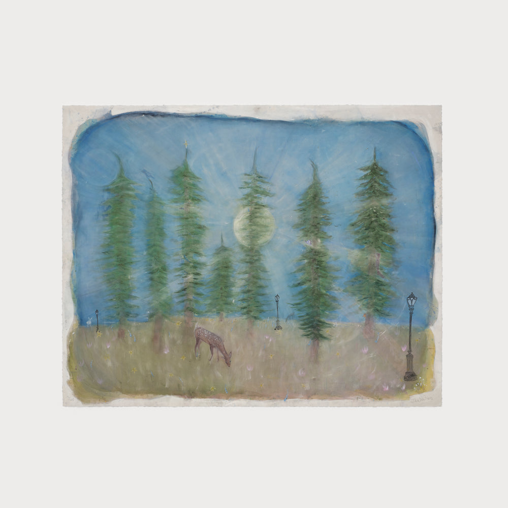 The Cathedrals of Central Park: NY City Light Post