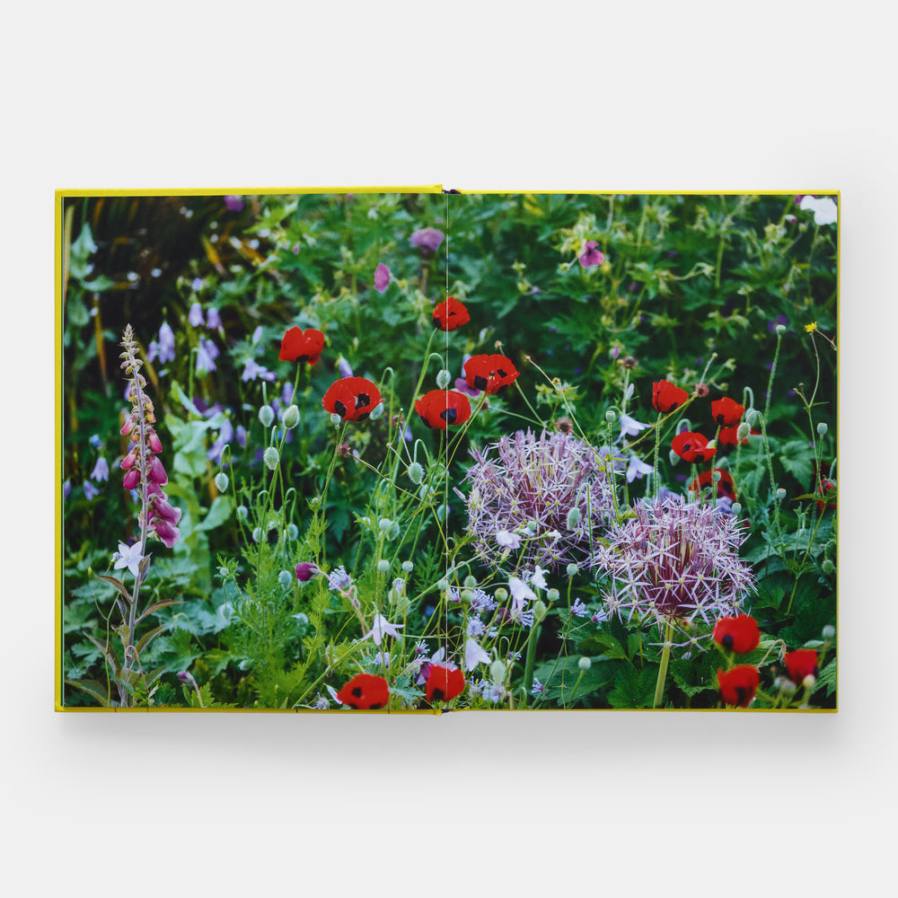 A Year in Bloom