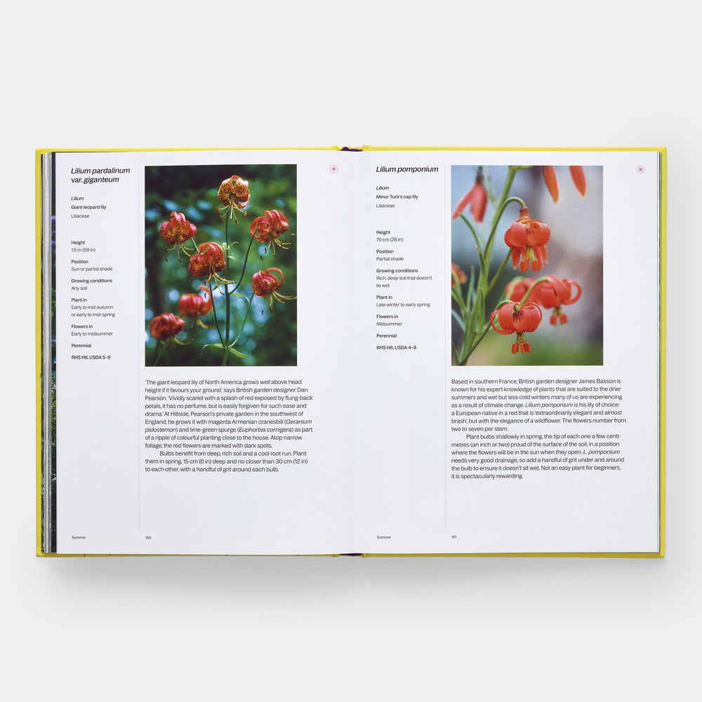 A Year in Bloom