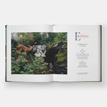 ABCDuane: A Duane Michals Primer