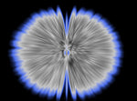 Butterfly Experiments