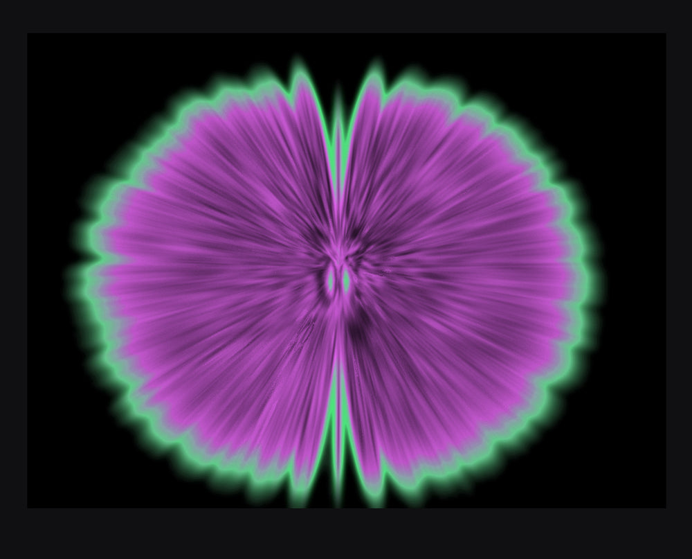 Butterfly Experiments