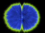 Butterfly Experiments