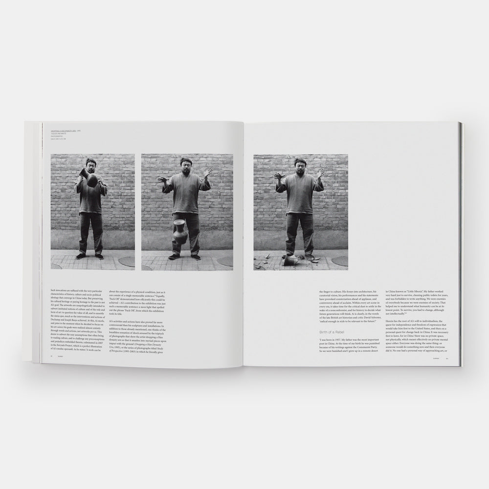 Ai Weiwei