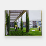 American Modern
