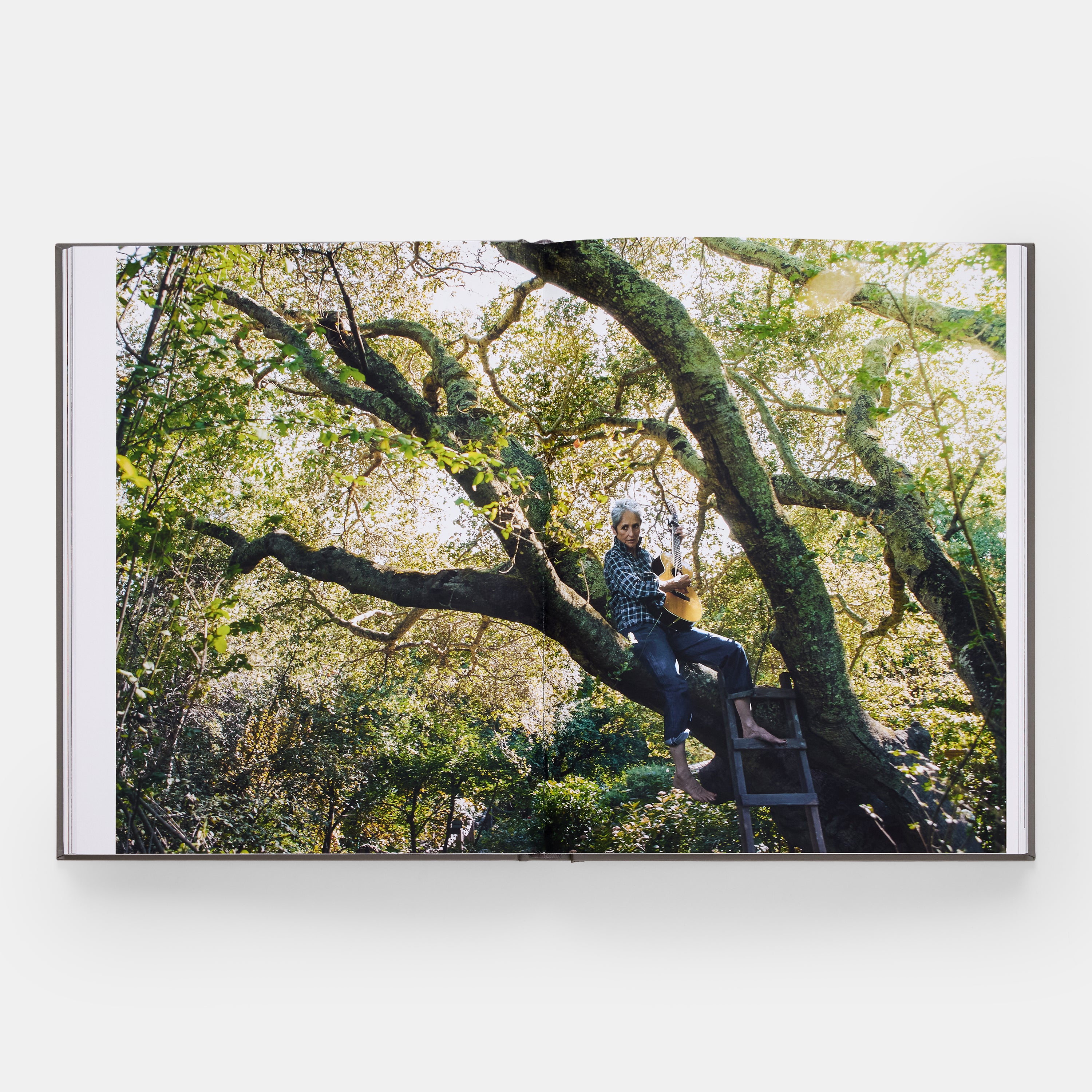 All New Arrivals – Phaidon