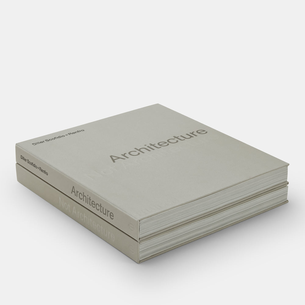 Architecture, Not Architecture: Diller Scofidio + Renfro