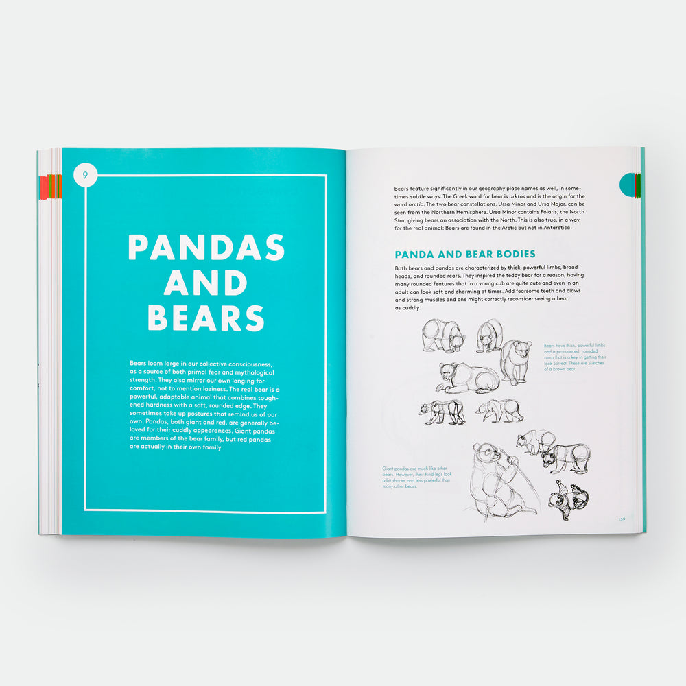 Artist's Guide to Drawing World Wildlife