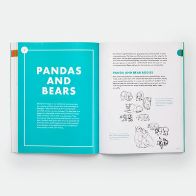 Artist's Guide to Drawing World Wildlife