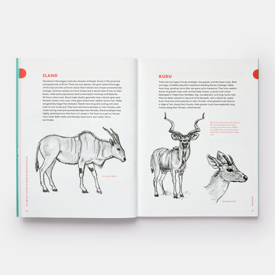 Artist's Guide to Drawing World Wildlife: Essential Step-by-Step Lessons for Beginners