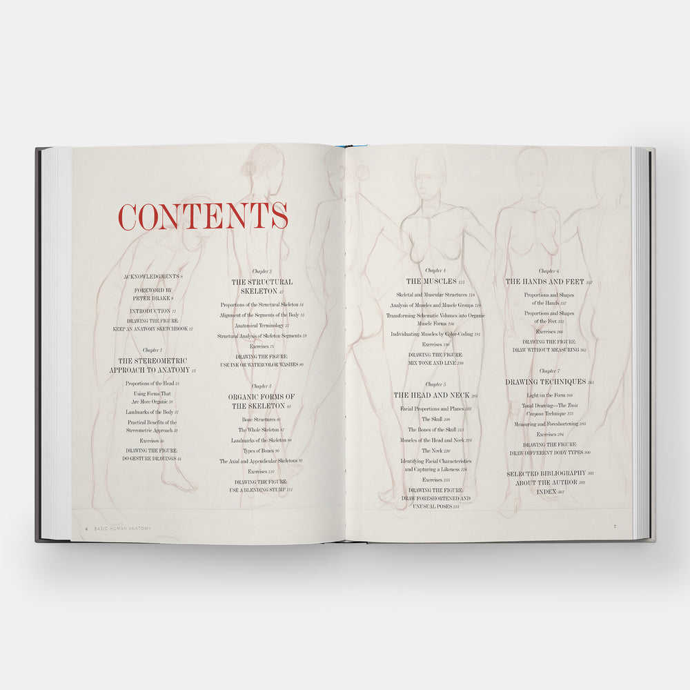 Basic Human Anatomy: An Essential Visual Guide for Artists